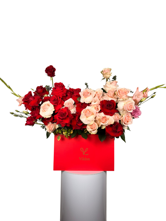 Blush_Romance_Luxury_Rose_Box_-_Bay_Aread_delivary