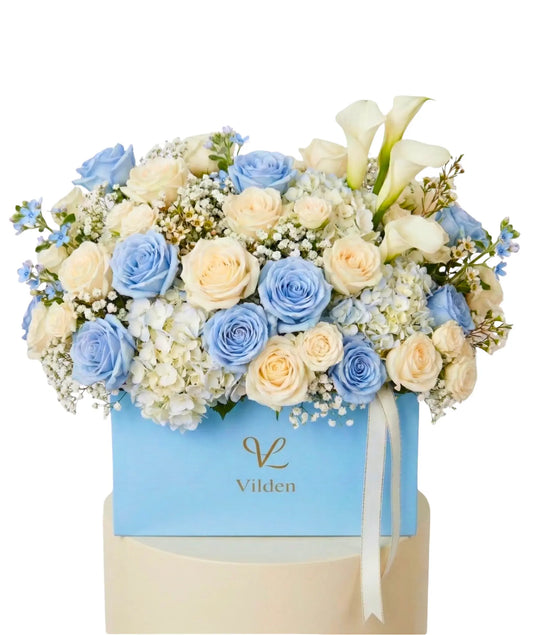 Creamy Blue - Vilden