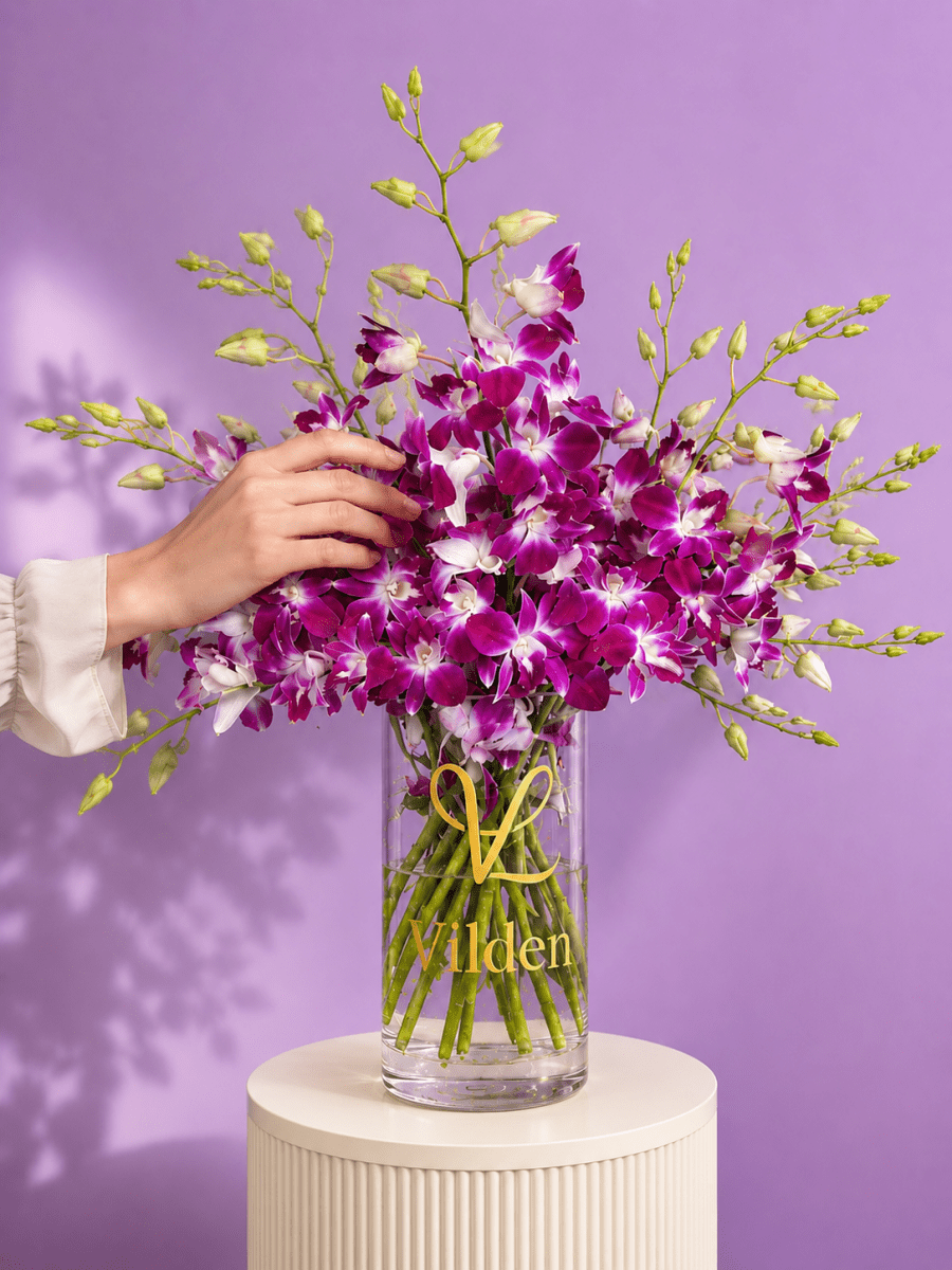Orchid Violetta magenta dendrobium orchids, styled on a blush-pink ribbed pedestal with a soft hand's touch.