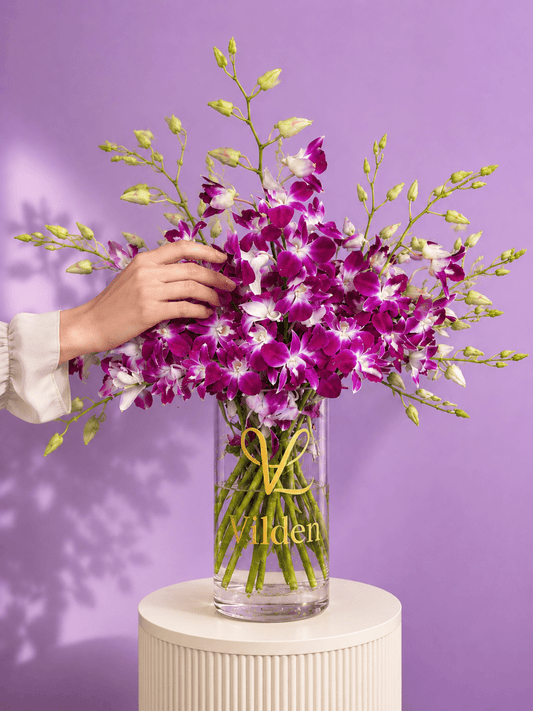 Orchid Violetta magenta dendrobium orchids, styled on a blush-pink ribbed pedestal with a soft hand's touch.