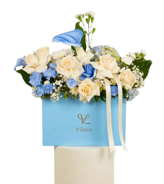 Sky Blue - Signature - Vilden