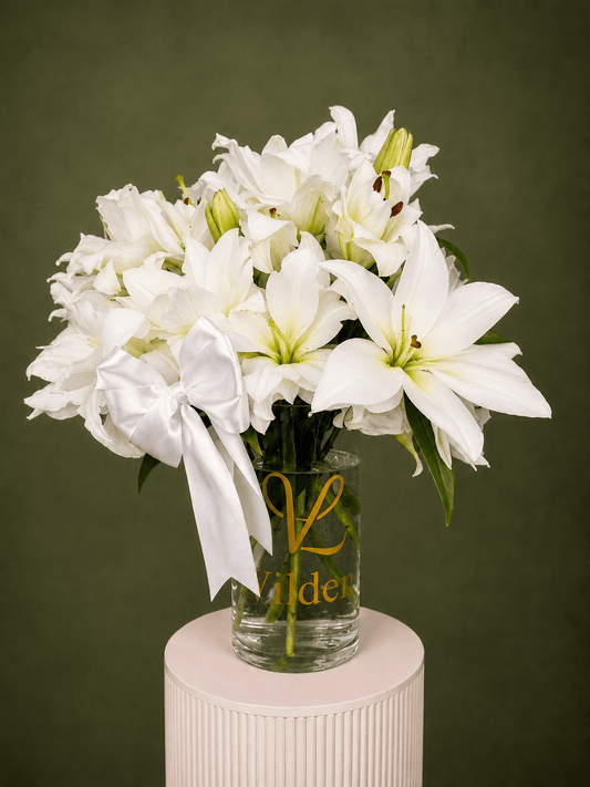 Ivory Lily Reverie Vase Arrangement with white lilies, unopened lily buds, and a white satin bow in a clear Vilden vase