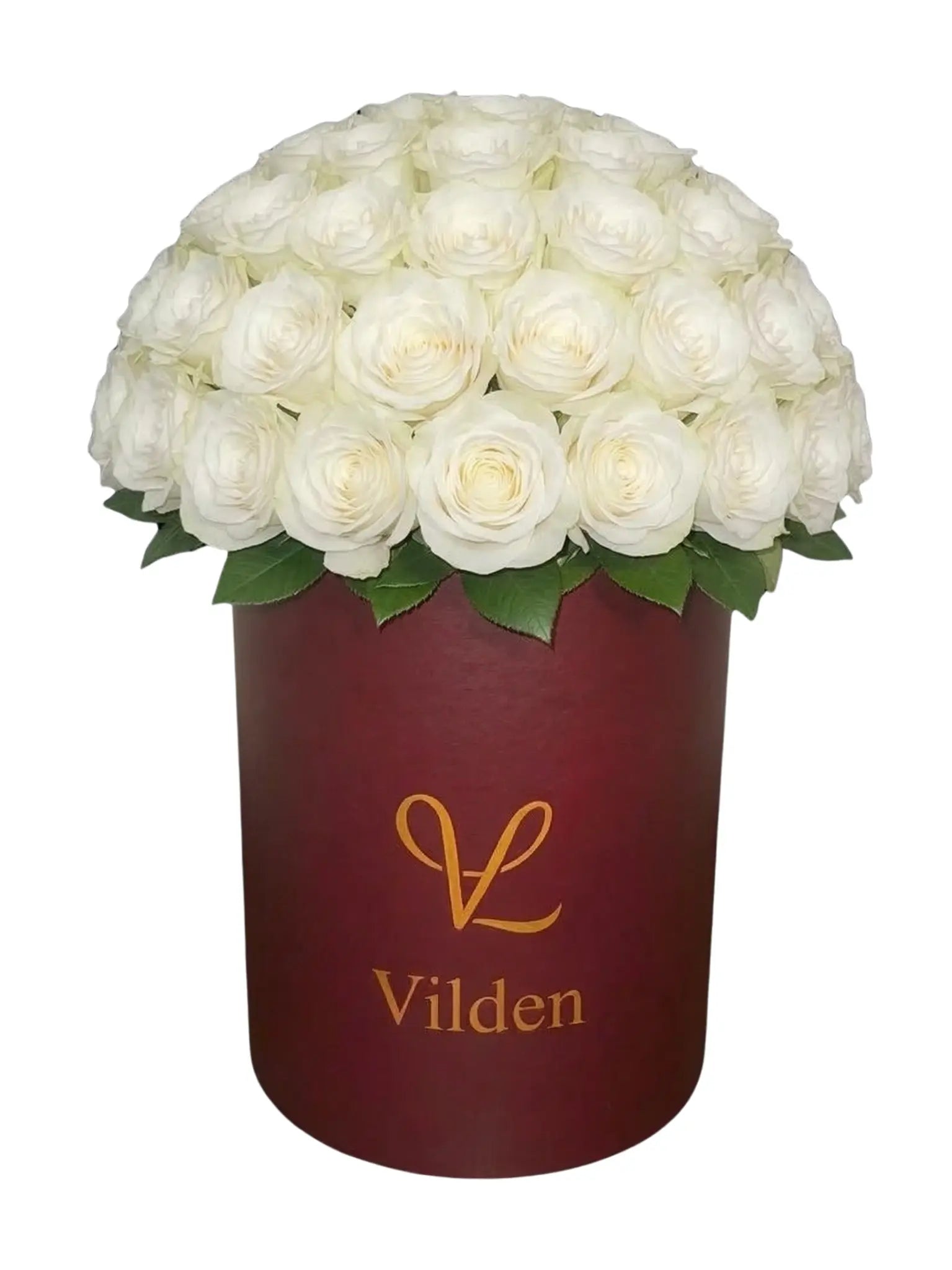 Pearl White Roses Vilden