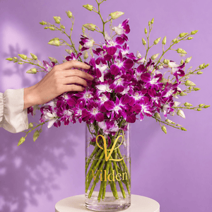 Orchid Violetta magenta dendrobium orchids, styled on a blush-pink ribbed pedestal with a soft hand's touch.