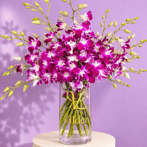 Orchid Violetta magenta dendrobium orchids, styled on a blush-pink ribbed pedestal against a soft lilac background.
