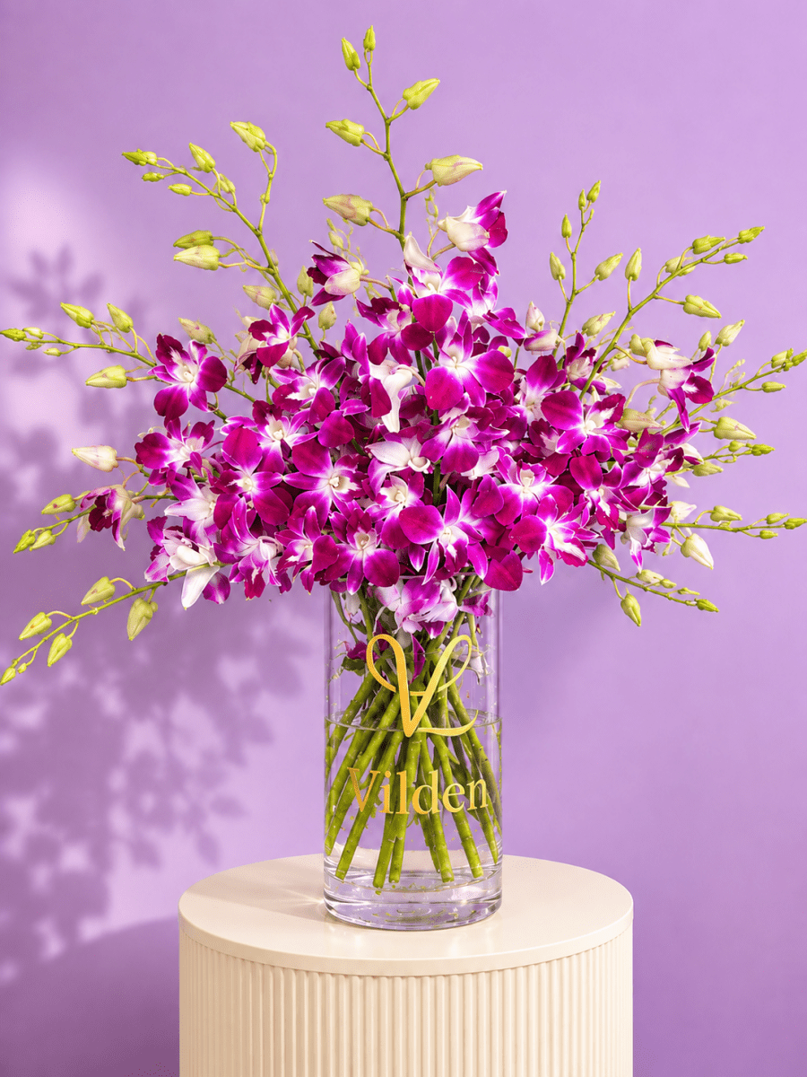 Orchid Violetta magenta dendrobium orchids, styled on a blush-pink ribbed pedestal against a soft lilac background.