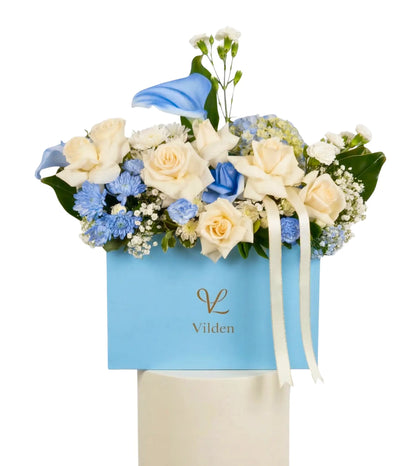Sky Blue - Signature Vilden