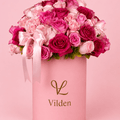  Vibrant Pink Roses