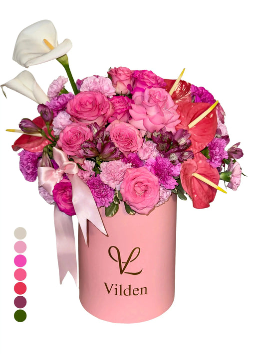Vibrant Pink - Signature Vilden