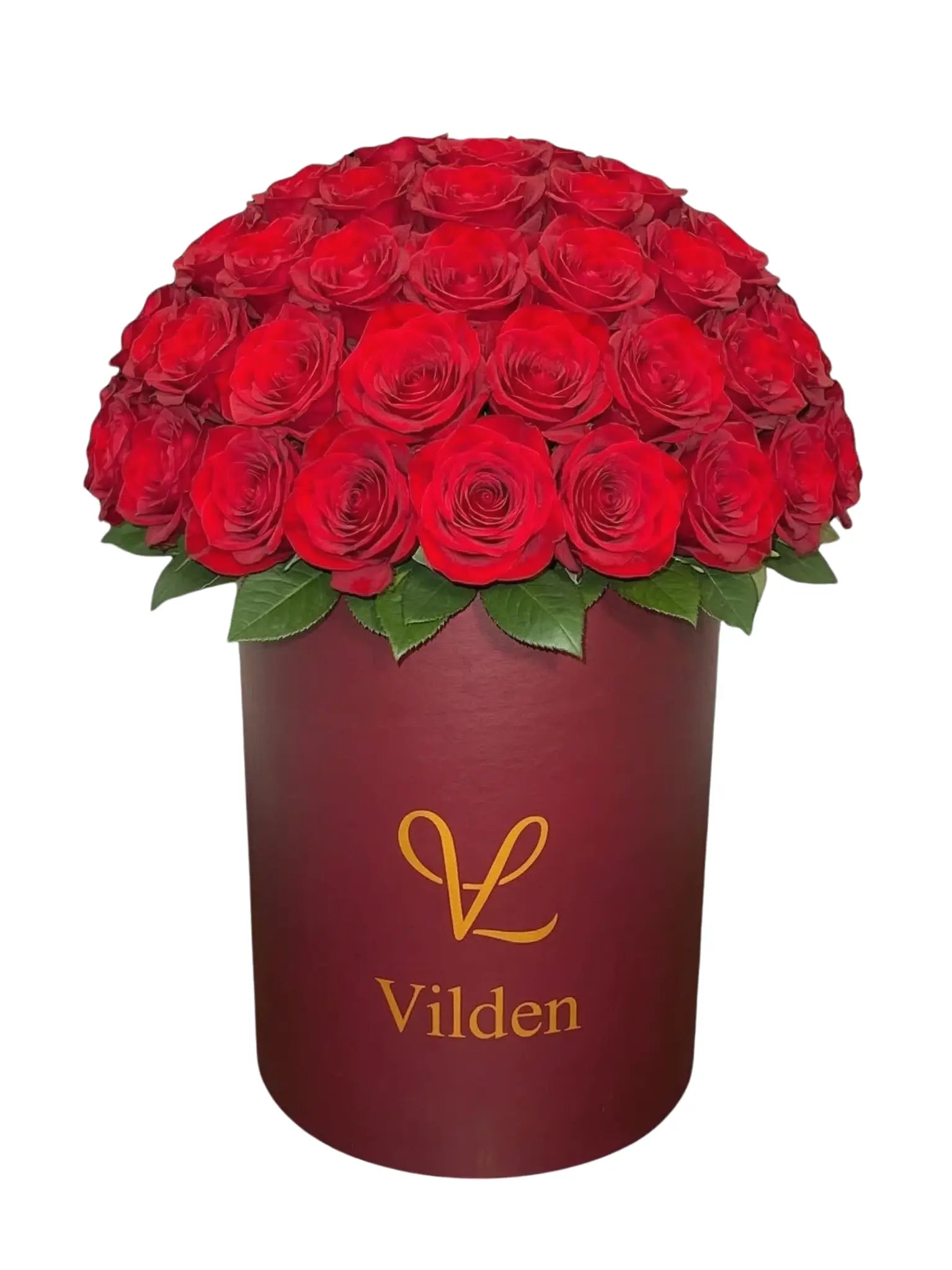 Violet Red - Rose World - Vilden