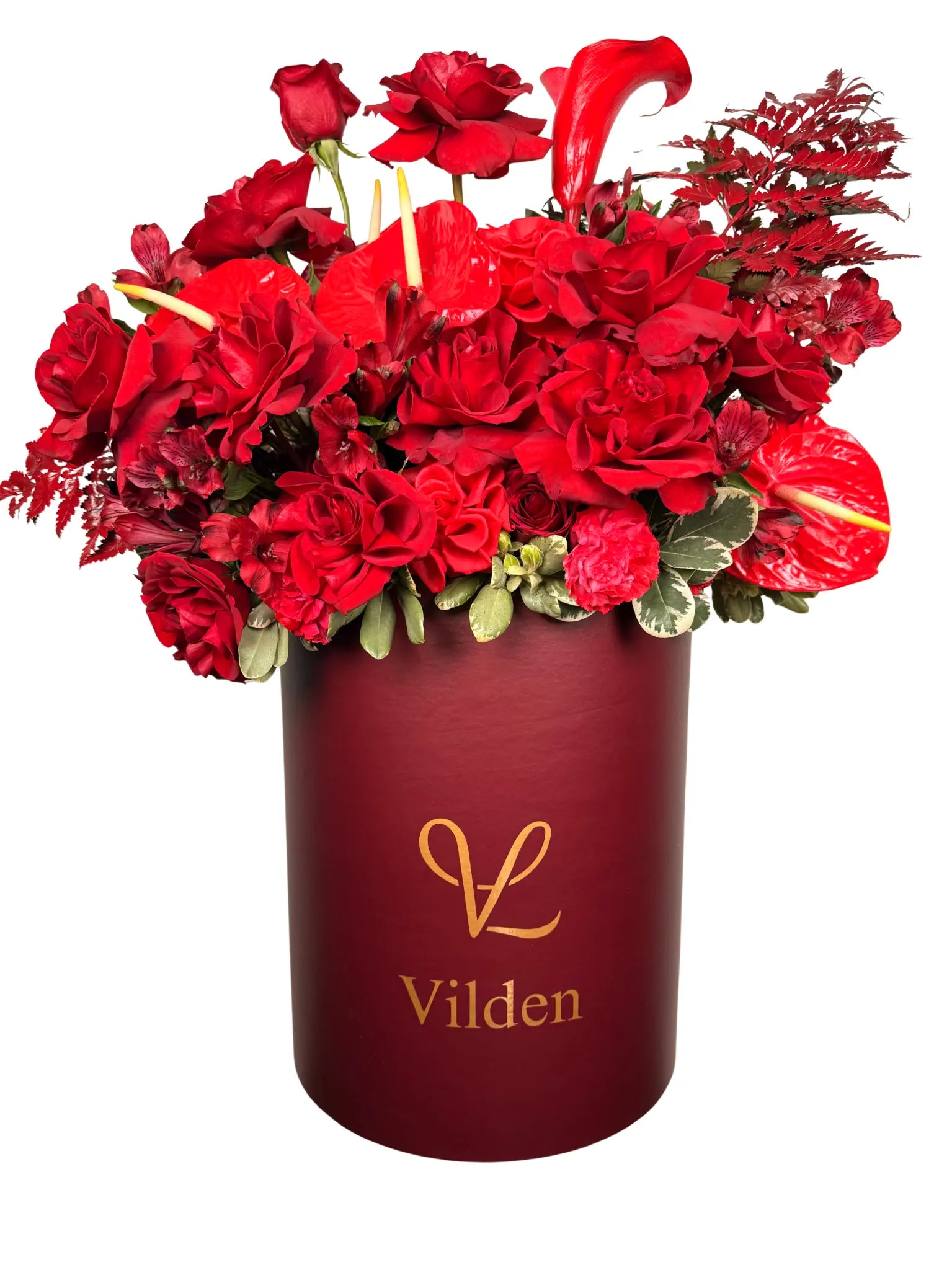 Violet Red - Signature Vilden